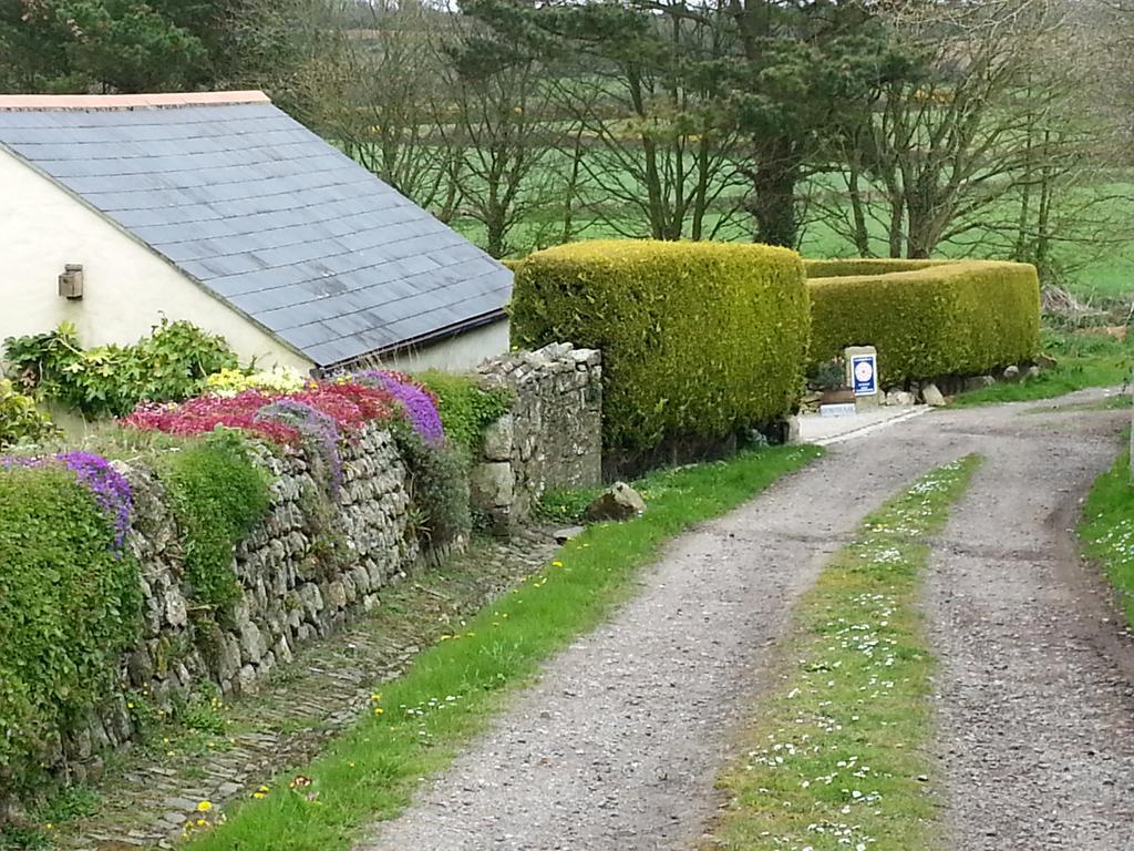 Bostrase B&B Hayle Kültér fotó