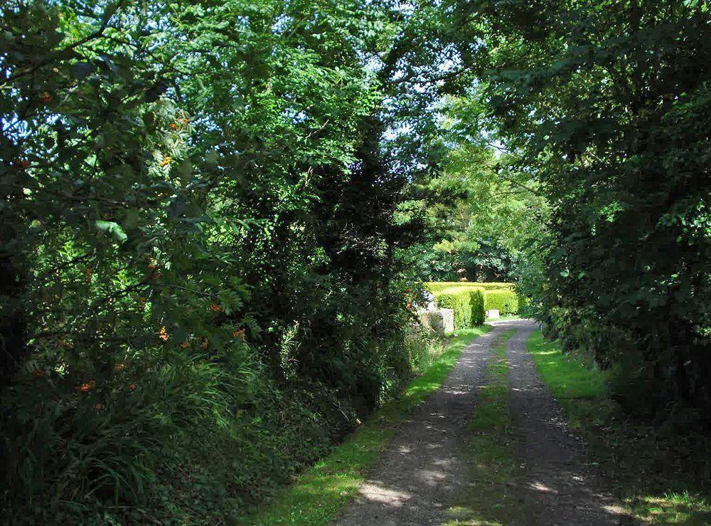 Bostrase B&B Hayle Kültér fotó