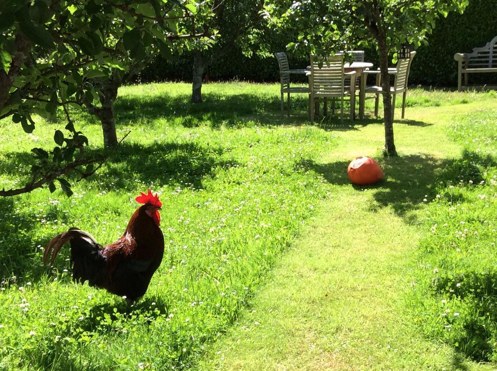 Bostrase B&B Hayle Kültér fotó